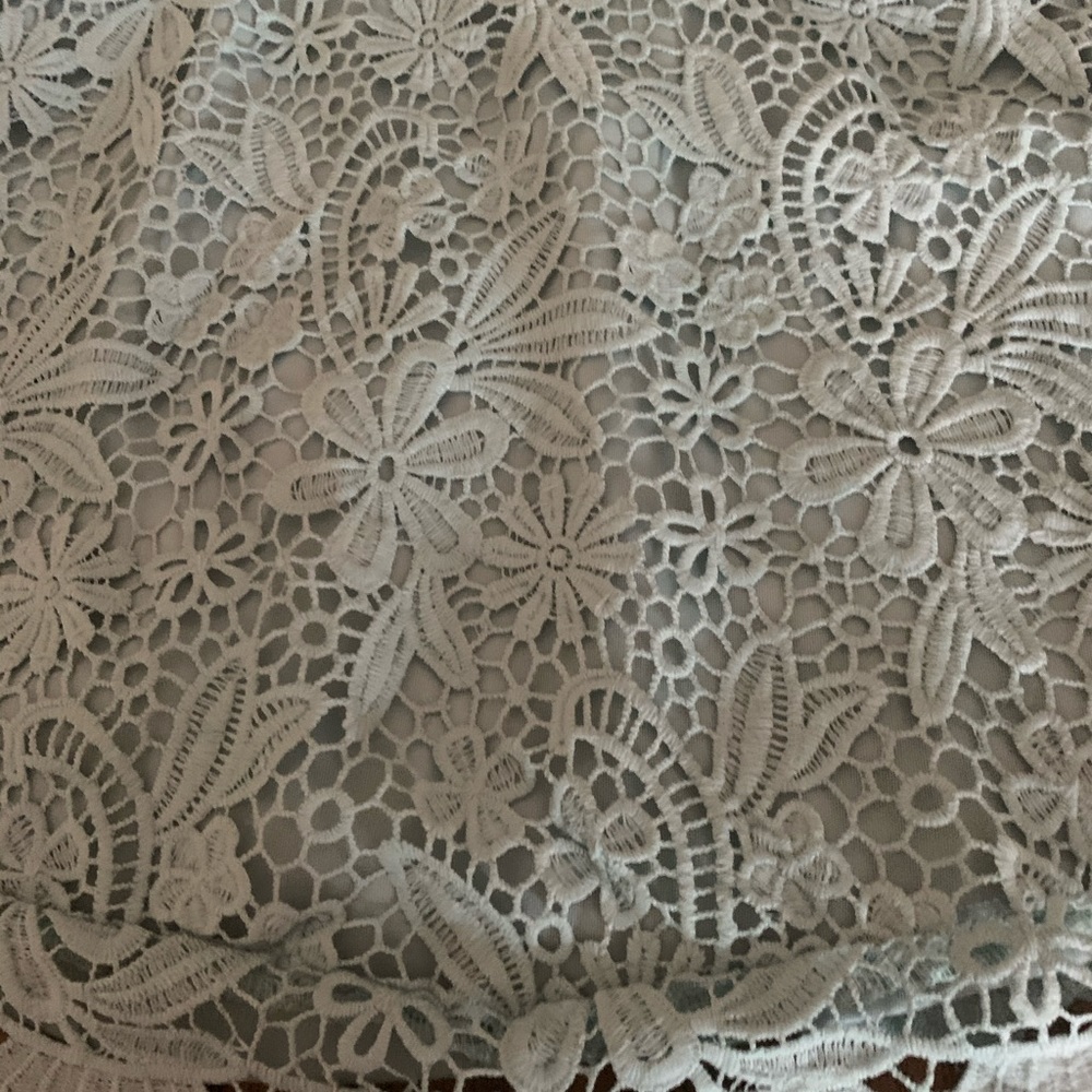 Lulus lace dress - Picture 16 of 16